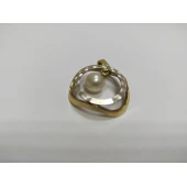 Pandativ 585*4,66 grame