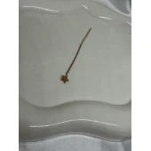 Cercel Din Aur Proba 585* 0,46 gr