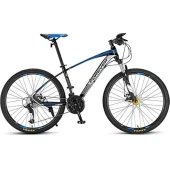 Bicicleta Forever