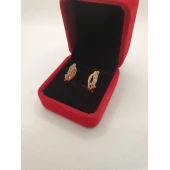 Cercei Din Aur Proba 585* 3.19gr