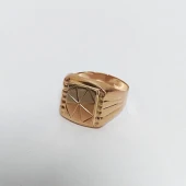 Ghiul Din Aur 585* 5.53 gr