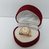 Ghiul Din Aur 585* 5.53 gr