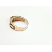 Ghiul Din Aur Proba 585* 8.54 gr