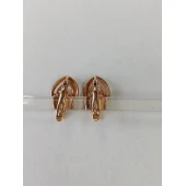Cercei Din Aur Proba 585* 2.97 gr