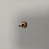Pandativ Din Aur Proba 585* 1.20 gr