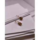 Cercei Din Aur Proba 583* 3.45 Gr