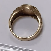 Ghiul din Aur Proba 585* 9.10 gr