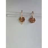 Cercei Din Aur Proba 583* 3,02 Gr