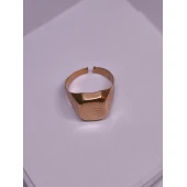 Ghiul Din Aur Proba  583* 5.52 Gr