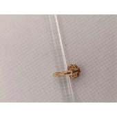 Cercel Din Aur Proba 585* 0.67 gr