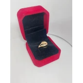 Inel Din Aur Proba 585* 2.46 gr