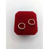 Cercei Din Aur Proba 585* 2.90 gr