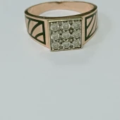 Ghiul Din Aur 585*  6.71 gr