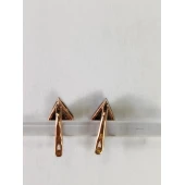Cercei Din Aur Proba 585* 2.10 gr