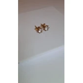 Cercei Din Aur Proba 585* 2.76 gr