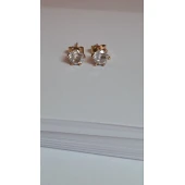 Cercei Din Aur Proba 585* 2.76 gr