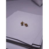 Cercei Din Aur Proba 585* 1.03 Gr