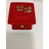 Cercei Din Aur Proba 585* 2,43 Gr