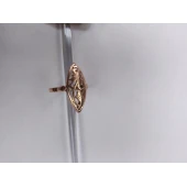 Inel din aur 585* 3.02gr