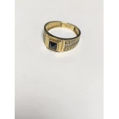 Ghiul Din Aur Proba 585* 5.25 Gr