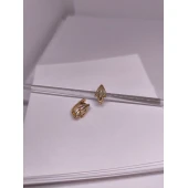 Cercei Din Aur Proba 585* 2.92 Gr