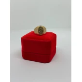 Ghiul Din Aur Proba 583* 4.67 gr