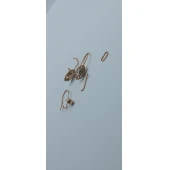 Cercei Din Aur Proba 585* 1.7 gr