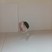 Samsung Galaxy Watch FE