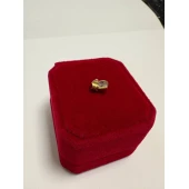 Pandativ 750* 0.87Gr