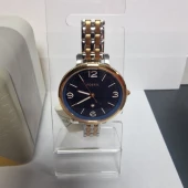 Ceas Fossil es4925