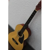 Chitara Hora Reghin  Standart M