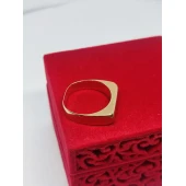 Ghiul din aur 585* 3,65 gr