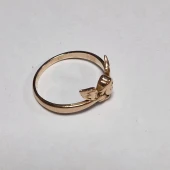 Inel Din Aur 585* 3.06 gr