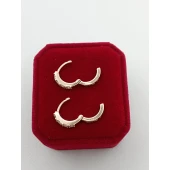 Cercei Din Aur Proba 585* 2.82 gr