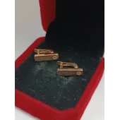 Cercei Din Aur Proba 585* 2,92 gr