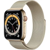 Ceas Inteligent Apple Watch Series 6 44 mm
