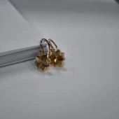 Cercei Din Aur Proba 583* 3.88 Gr