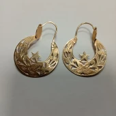 Cercei Din Aur Proba 585*6.21gr