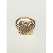 Inel Din Aur Proba 585* 2.46 gr