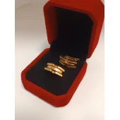 Cercei Din Aur Proba 585* 5,83 gr