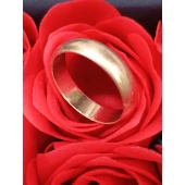 Verigheta Din Aur Proga 375* 3.95 gr