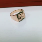 Ghiul proba 585 masa 11.40