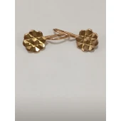 Cercei Din Aur Proba 585* 2.62 gr