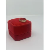 Verigheta Din Aur 585* 2.89 gr