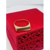 Ghiul din aur 585* 3,65 gr