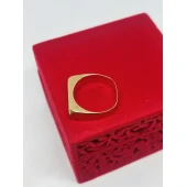 Ghiul din aur 585* 3,65 gr