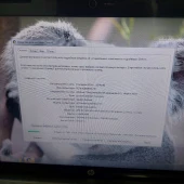 Laptop HP Pavilion G6 White