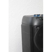 Boxă Singe ZQS10213