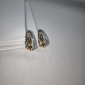 Cercei Din Aur Proba 585* 3.30 Gr