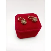 Cercei Din Aur Proba 585* 3.98 Gr